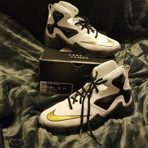 Nike LEBRON X111 (13's) GS